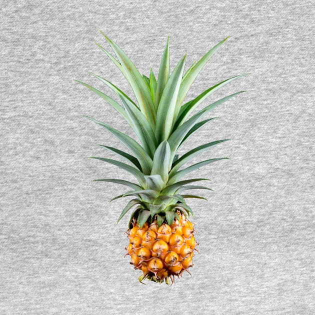 Pineapple Photograph by PatrioTEEism